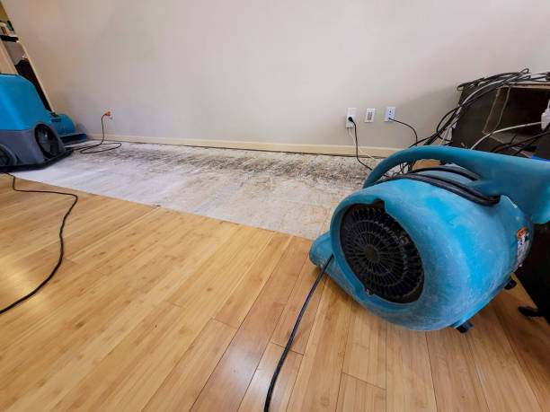 Professional Structural Drying technician working in Cascade, ID